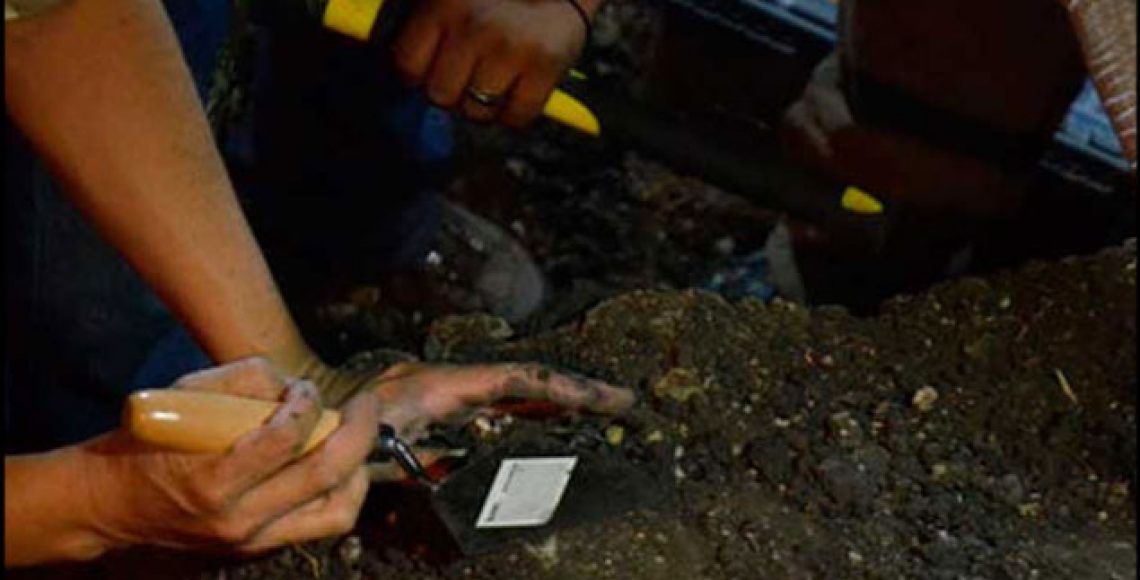 Suman 60 cuerpos hallados en fosas de Veracruz