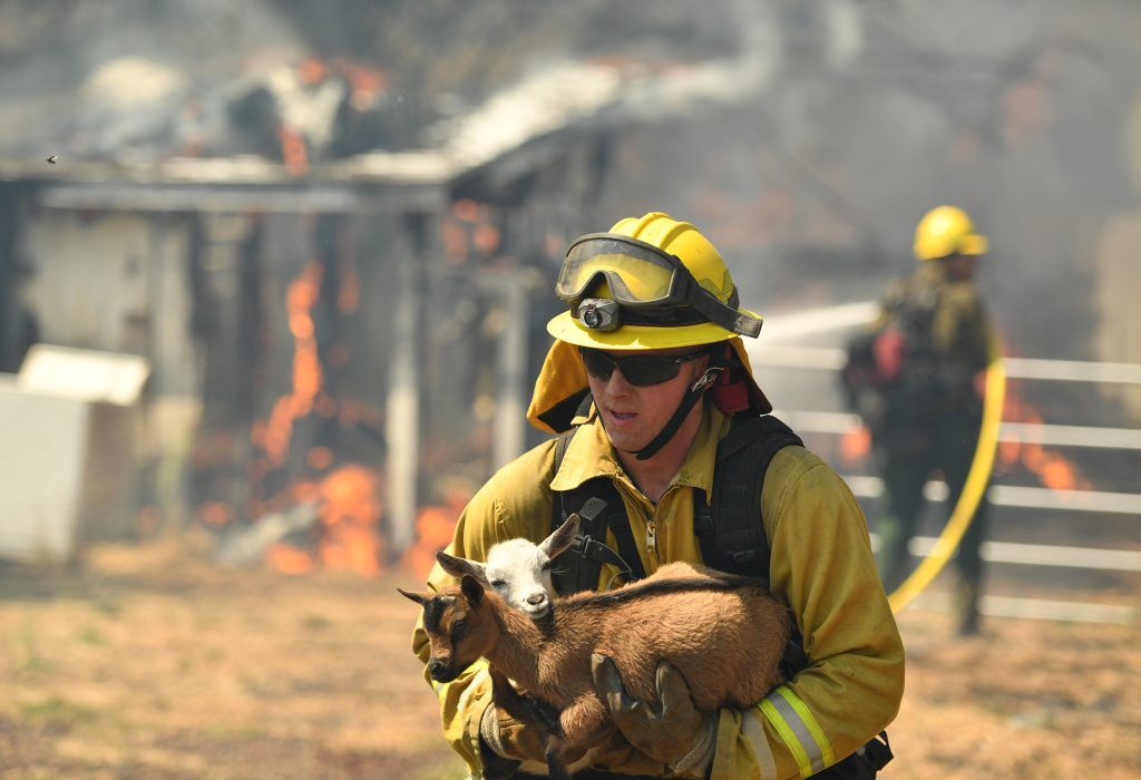 Incendio destruye 100 viviendas en pueblo de California - Incendio-California-5-1024x700
