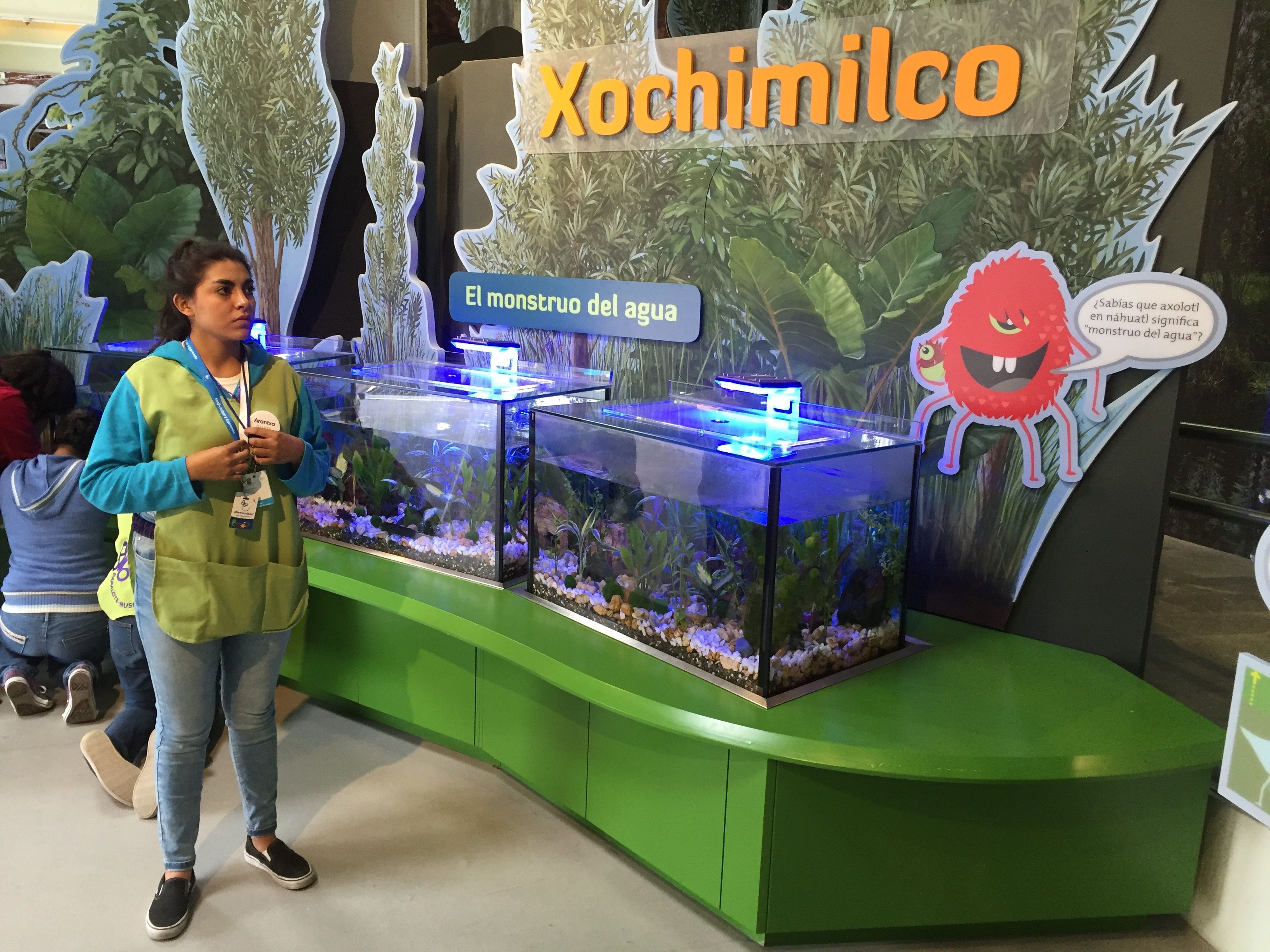 Renuevan el Museo del Niño y anuncian otro nuevo en Iztapalapa - La-nueva-seccio╠ün-dedicada-Xochimilco