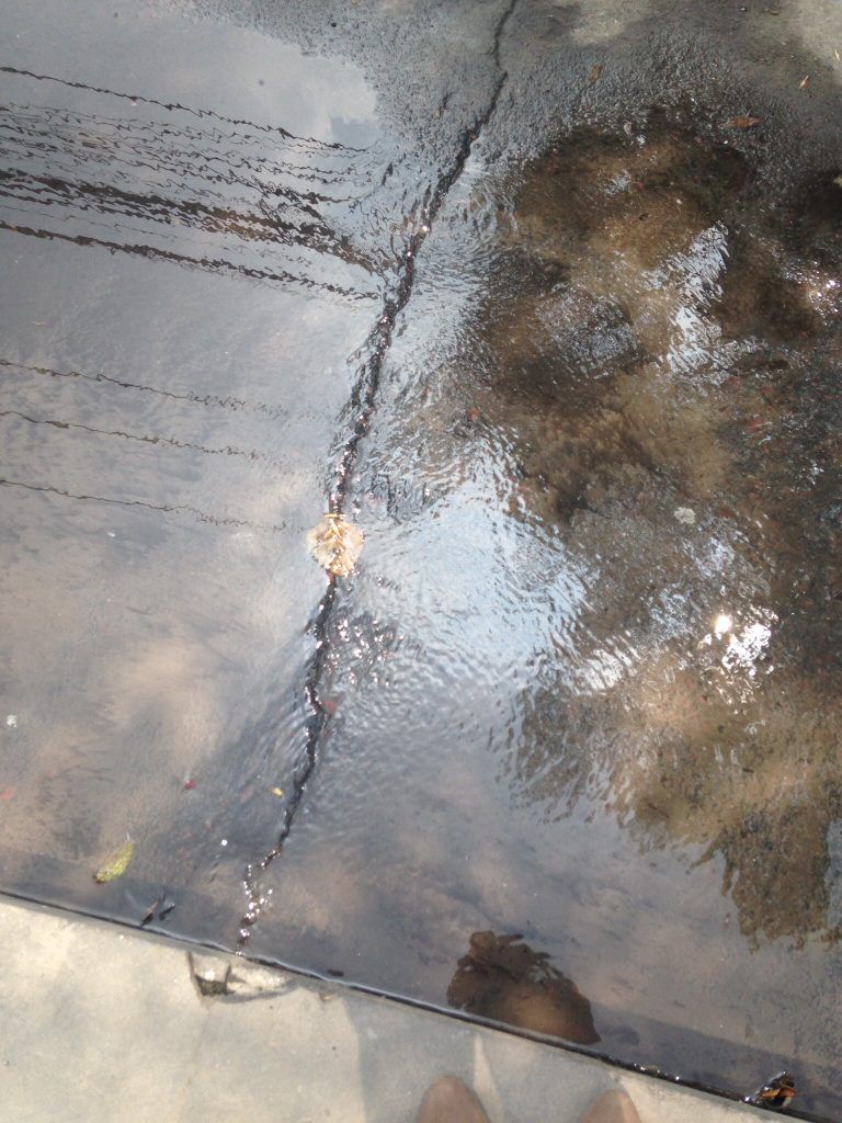 Fuertes lluvias azotan a la Ciudad de México - Lluvia-PRado-Sur-768x1024