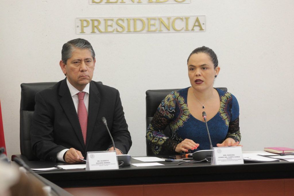 PGR no ha podido ingresar a Nochixtlán - Senado-2-1024x683