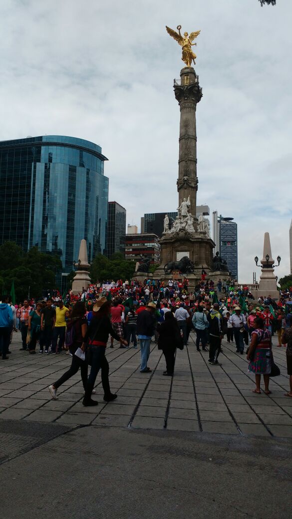 Campesinos llegan al Zócalo capitalino - WhatsApp-Image-2016-08-08-at-10.45.11-AM