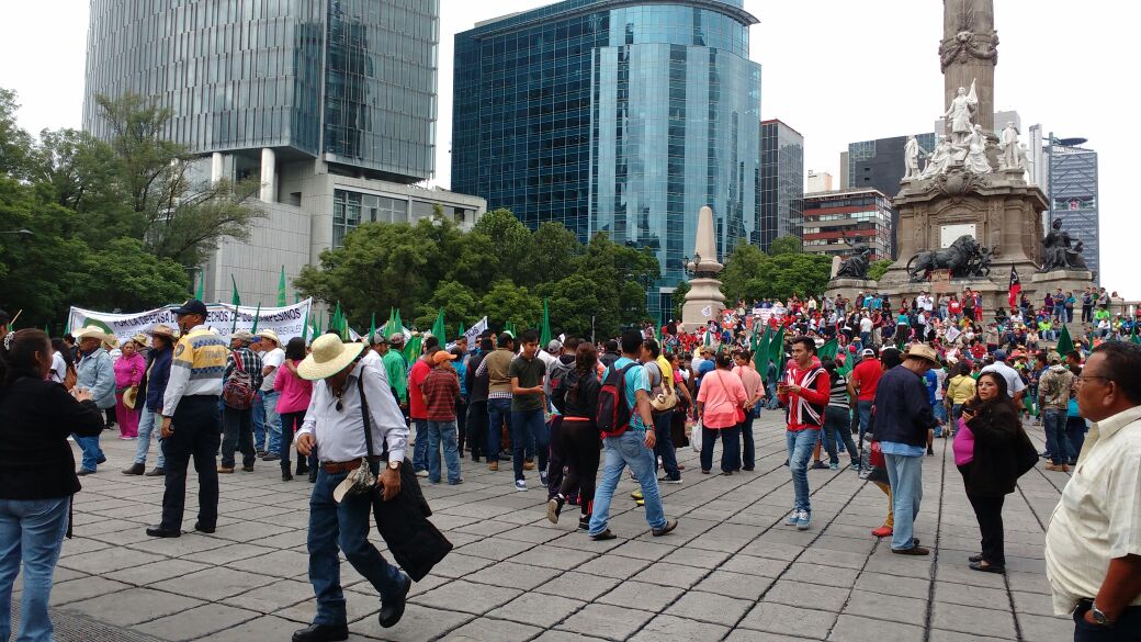 Campesinos llegan al Zócalo capitalino - WhatsApp-Image-2016-08-08-at-10.45.18-AM