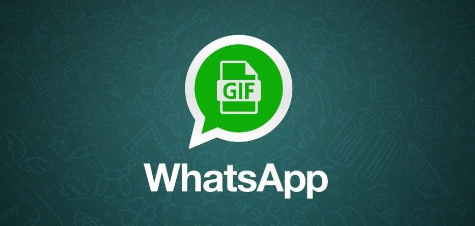 WhatsApp integra GIFs