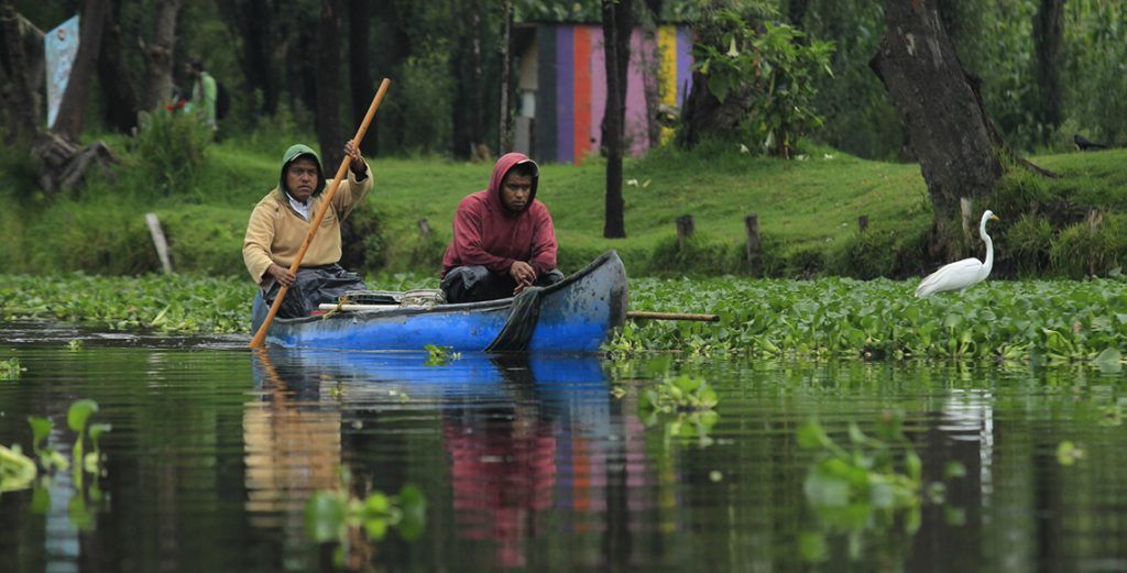 Van por rescate de Xochimilco los tres niveles de gobierno - Xochimilco-2-1024x521