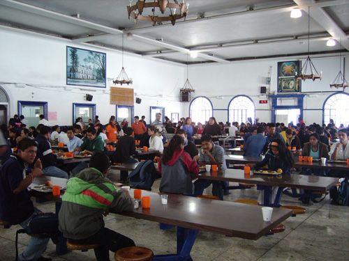 Se intoxican más de 300 alumnos en la Universidad de Chapingo Se intoxican más de 300 alumnos en la Universidad de Chapingo