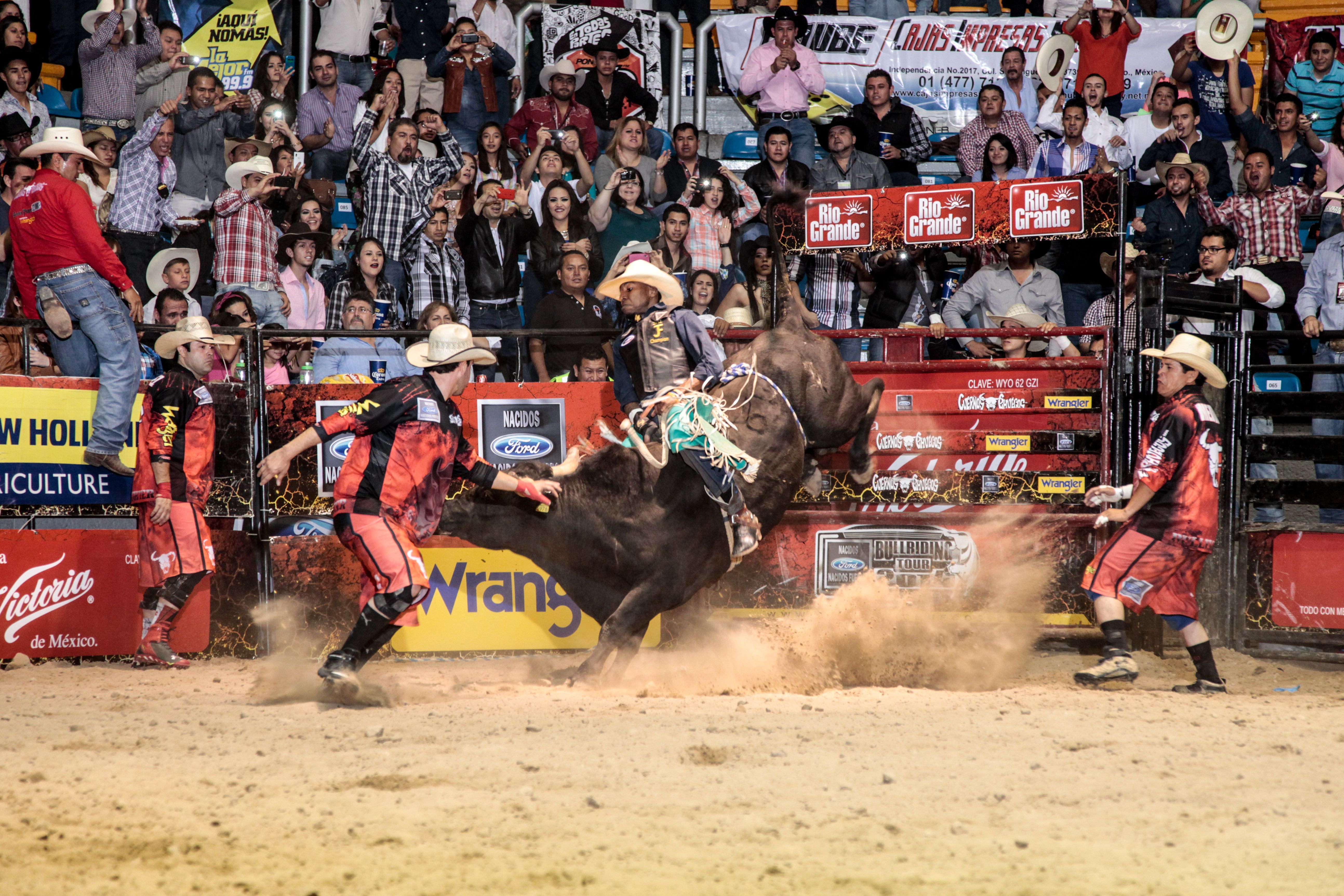 Asesinan a campeón de rodeo en Nuevo León - cuernos-chuecos