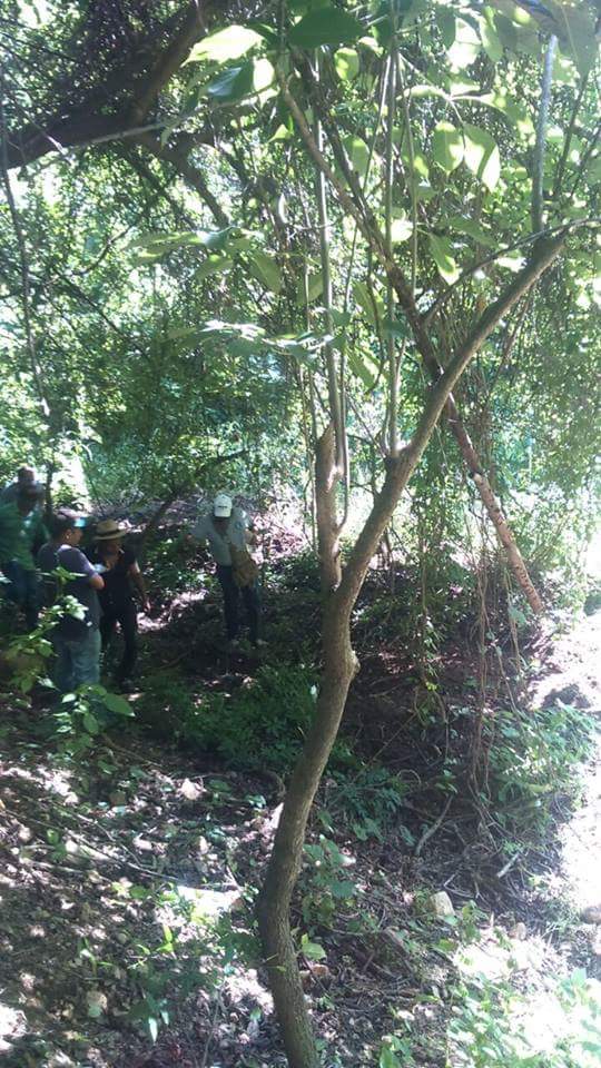 Hallan 3 cuerpos en fosas clandestinas en Acapulco