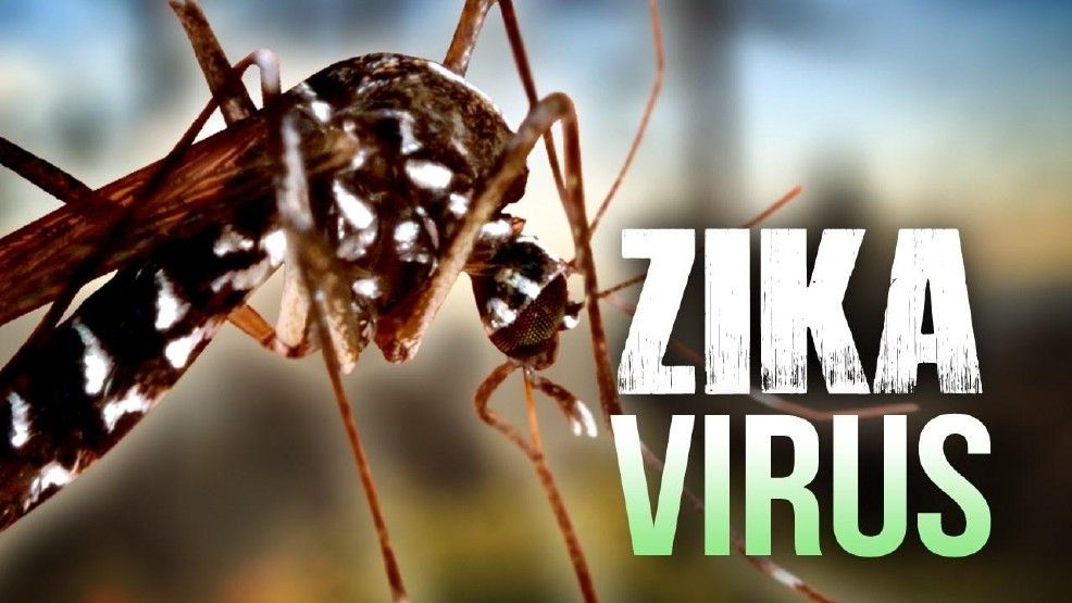 Virus del Zika también afecta el cerebro de los adultos