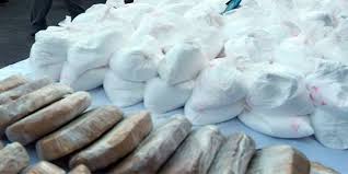 Detienen a 5 personas por tráfico de cocaína en Venezuela - descarga-8