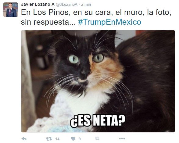 Las reacciones de políticos por la reunión Trump-EPN - javier-lozano-tuit
