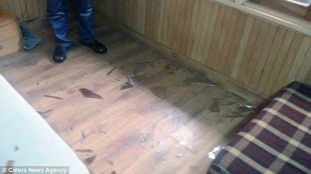 Leopardo invade habitación de hotel - leopardp