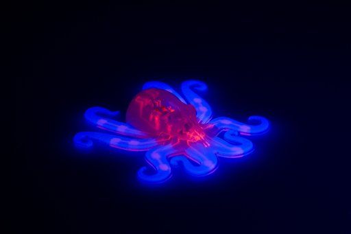 Harvard crea robot impulsado por fluídos