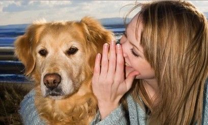 Perros entienden las palabras y la entonación de las personas