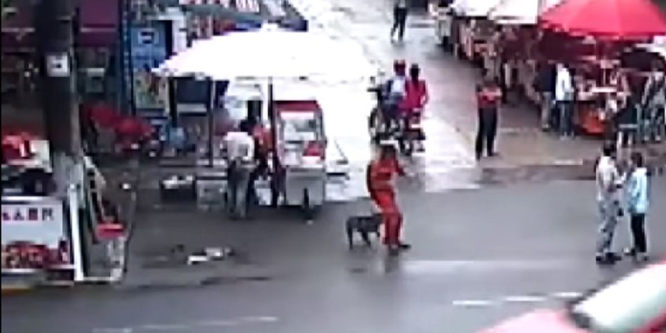 #Viral: ataque de perro con rabia deja 23 heridos