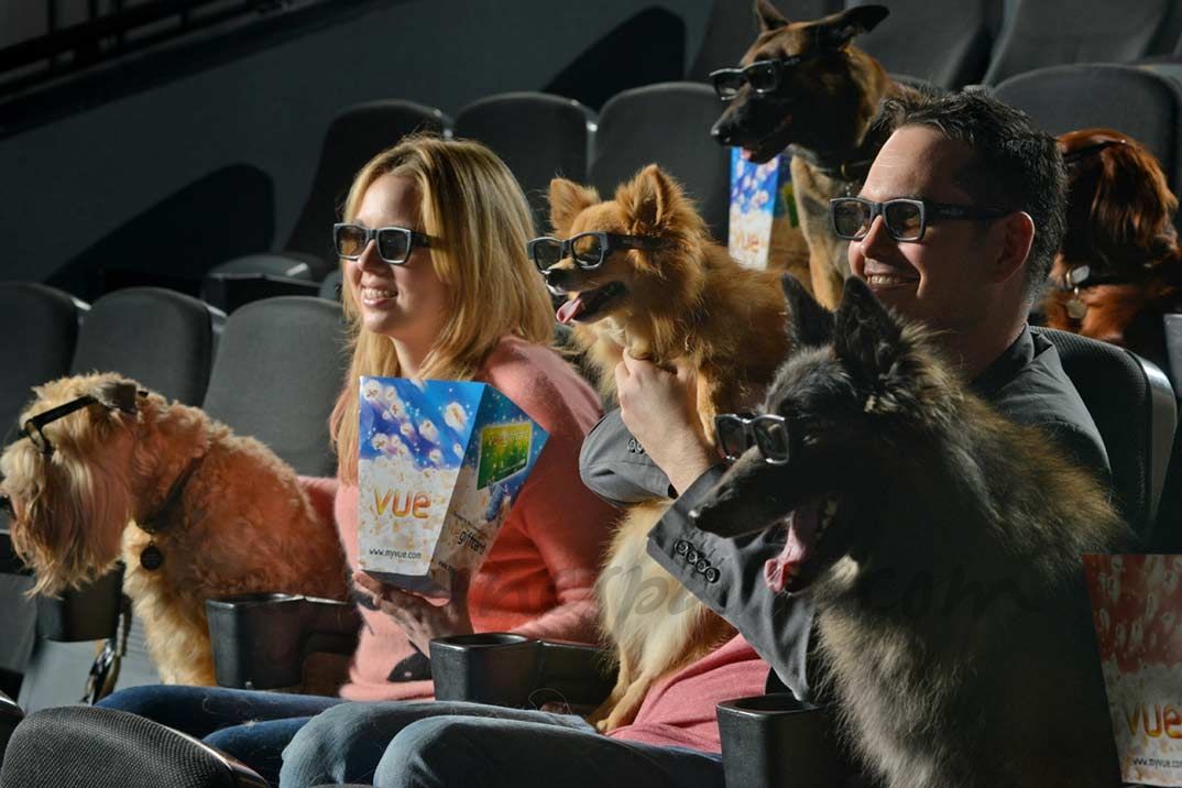 En España ya es posible entrar al cine con tu perro
