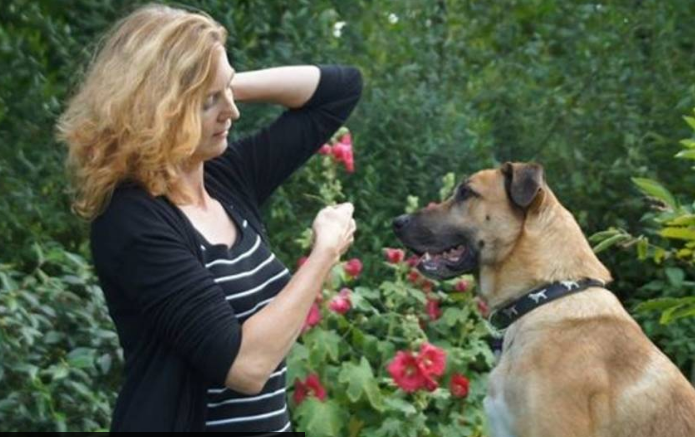 Rubio, de perro callejero en Argentina a mascota en Alemania - rubio-y-olivia-1