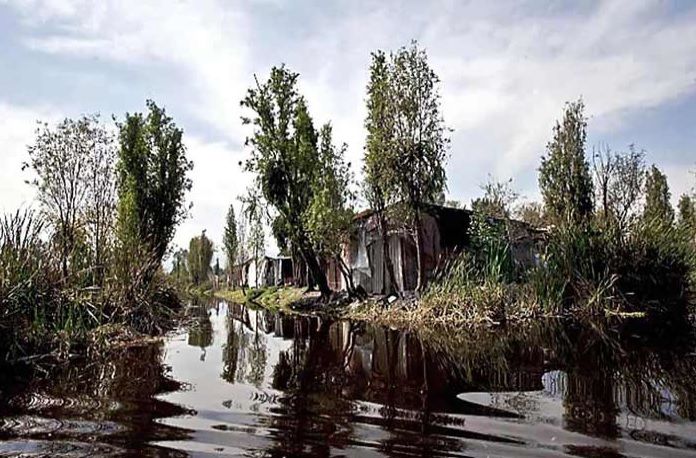 Xochimilco podría dejar de ser Patrimonio Cultural de la Humanidad - xochi2