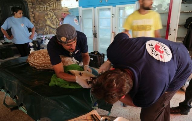 El peor zoológico del mundo en Gaza - zoo2