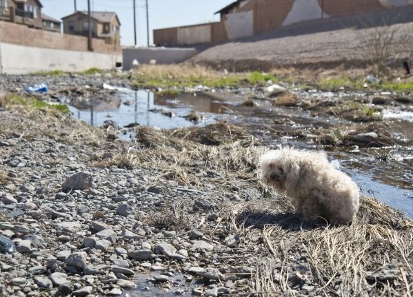 El lado oscuro y decadente de Las Vegas - 1004989872_suburb_povert_15