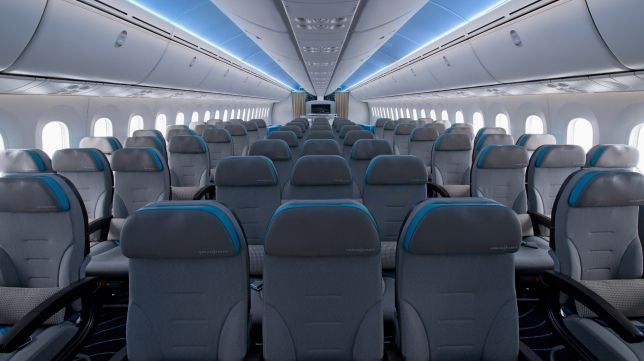 Video: pareja viaja sola durante vuelo