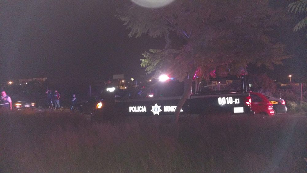 Escape de toros provoca caos en la vía pública - 15231672