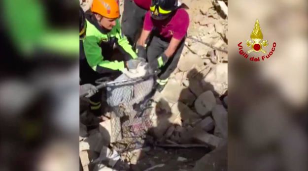 Video: rescate de dos gatos después del terremoto en Italia - 90854802_d5875dba-a22c-4cfe-aee0-cf676a815aab