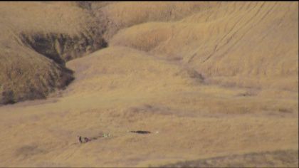 Un piloto muerto tras estrellarse avión de la Fuerza Aérea de Estados Unidos