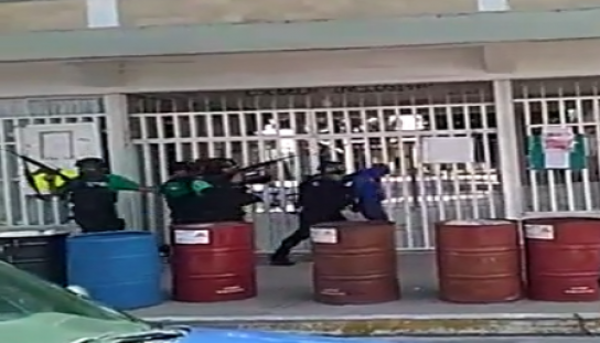 Video: enfrentamiento en Veracruz deja delincuente abatido