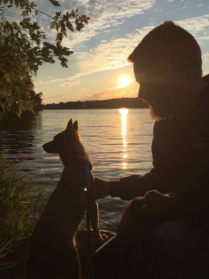 Residente de Estados Unidos adopta a perro en la Ciudad de México - Captura-de-pantalla-2016-09-13-a-las-17.48.59