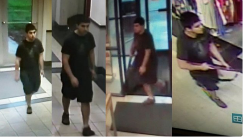 Sospechoso de tiroteo en Washington actuaba “como un zombi”