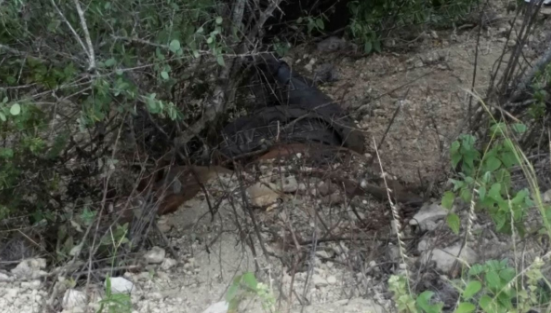 Hallan en SLP cuerpo de funcionario secuestrado - Captura-de-pantalla-2016-09-25-a-las-4.24.58-p.m.