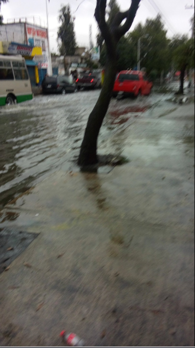 Continúan inundaciones en Xochimilco - Captura-de-pantalla-2016-09-28-a-las-9.05.16