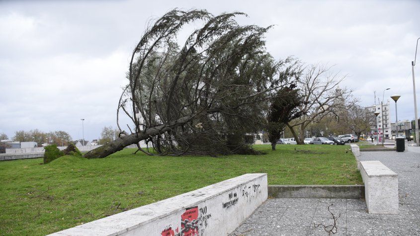 Un muerto y severas afectaciones por ciclón en Uruguay