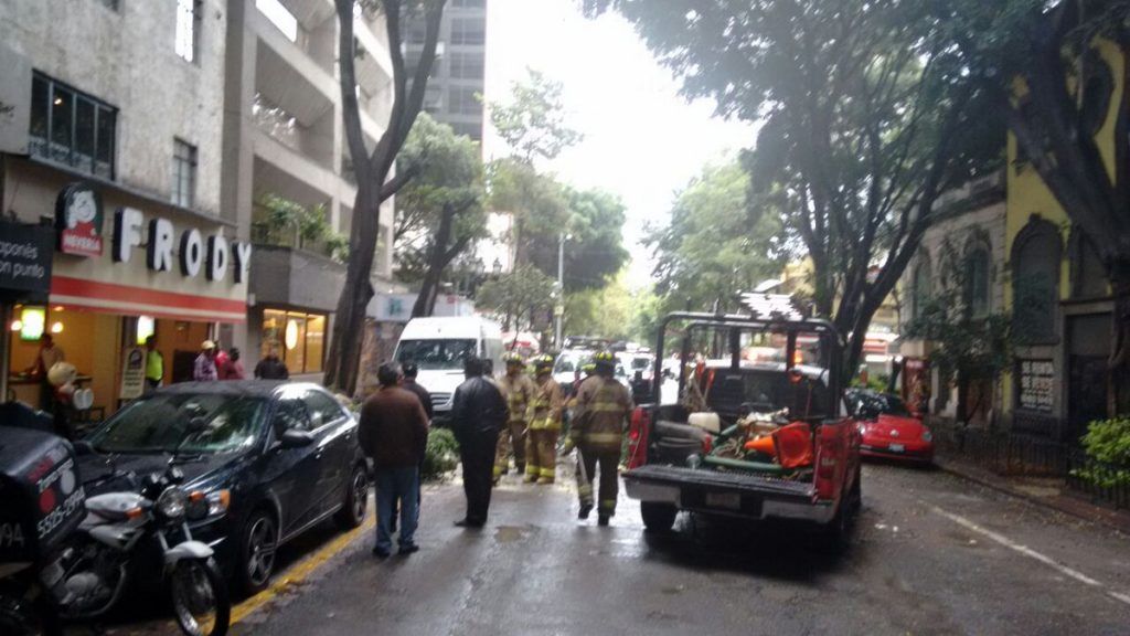 Lluvia provoca caída de árboles en Benito Juárez y Cuauhtémoc - CtjpXiKVIAEb7Bk-1024x576