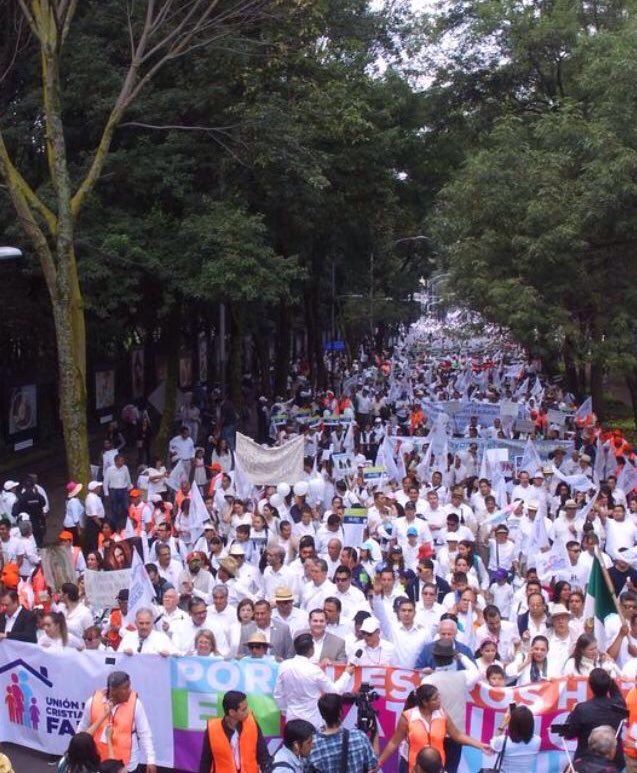Frente Nacional por la Familia se manifiesta en el Ángel de la Independencia - Frente-Nacional-por-la-Familia-10