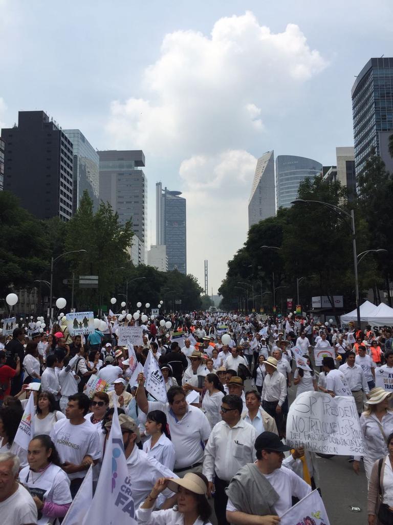 Frente Nacional por la Familia se manifiesta en el Ángel de la Independencia - Frente-Nacional-por-la-Familia-14
