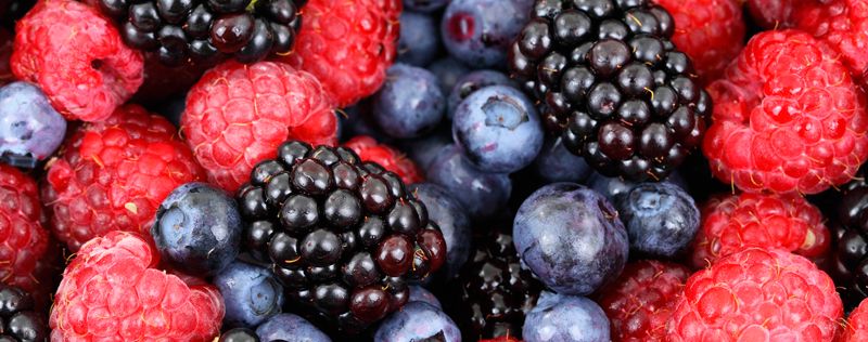 Vino de frutos rojos para el tratamiento de la diabetes