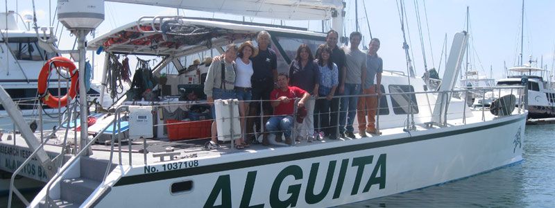 Los daños que causan los microplásticos en las playas mexicanas - HEAD_microplasticos2916