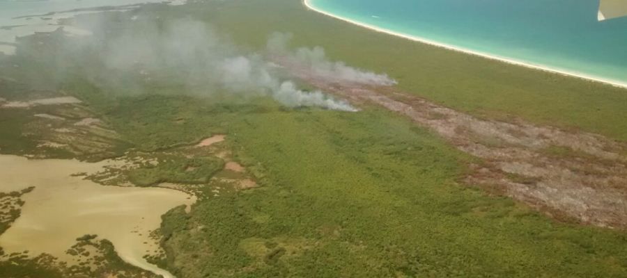 Controlado incendio en Isla Holbox: Profepa