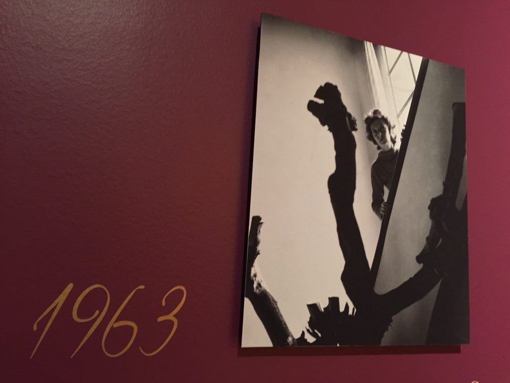 Regresa Remedios Varo en Chapultepec - IMG_0455-1024x768