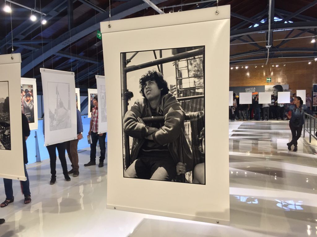 Reviven a Avándaro en el Chopo - IMG_8341-1024x768