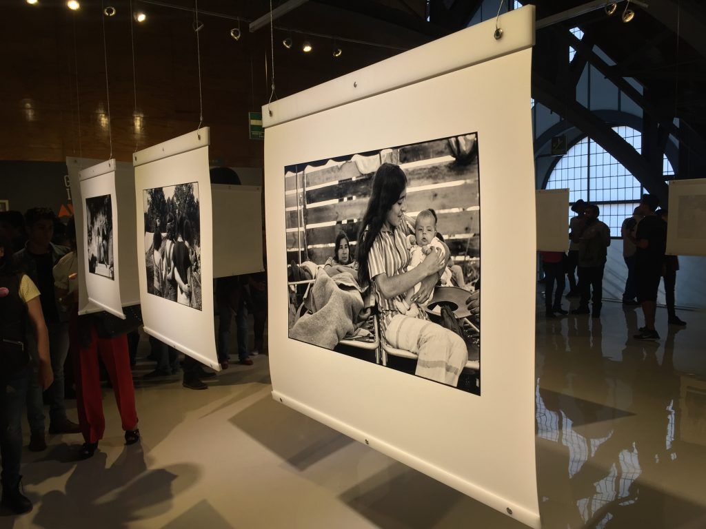 Reviven a Avándaro en el Chopo - IMG_8371-1024x768