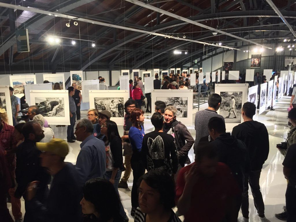 Reviven a Avándaro en el Chopo - IMG_8415-1024x768