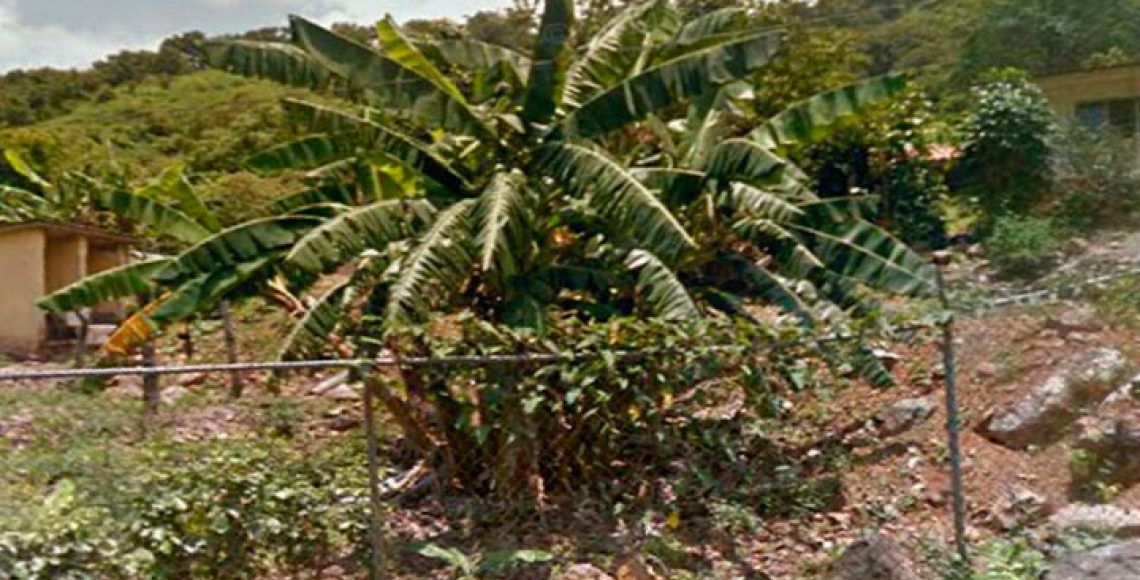 Hallan cinco cuerpos en límites de Jalisco y Colima - Jalisco-Cuerpos