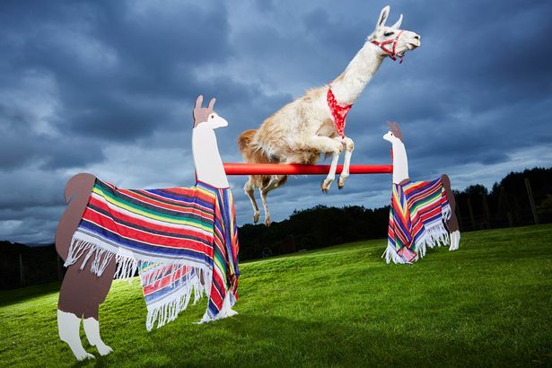 Los nuevos récords del libro Guinness - MAR08_Guinness-World-Records