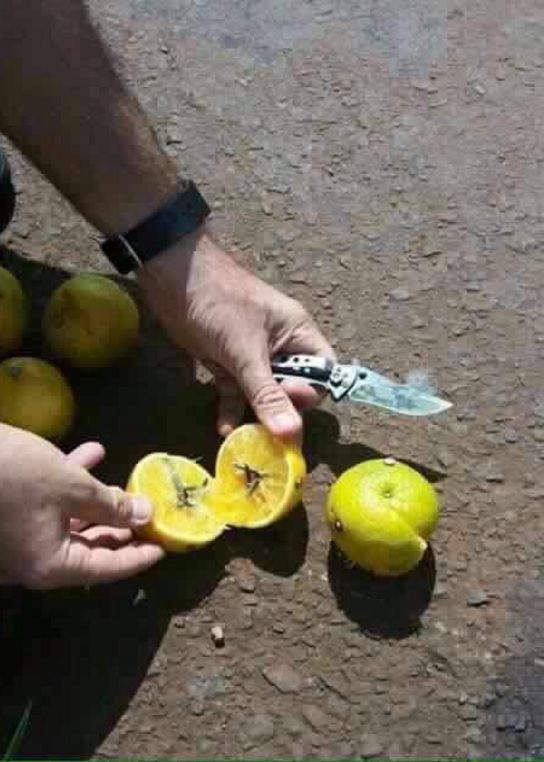 Alertan por nueva modalidad de asaltos en las carreteras