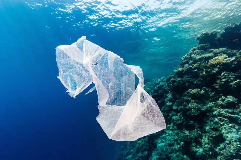 Llaman a acabar con la contaminación plástica en océanos - Plastico-Oceanos
