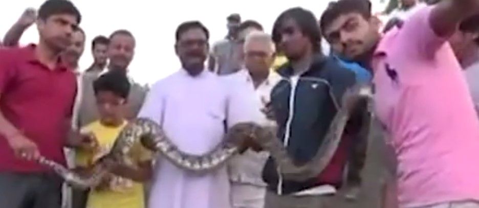 Video: anaconda muerde a hombre durante selfie
