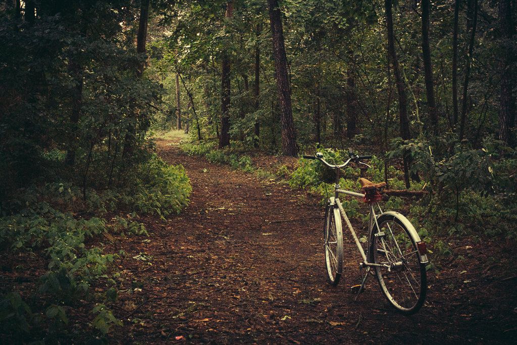 Niña va en bicicleta de Alemania a Polonia para ver a su abuela - bicycle__forest__morning_by_in__between-d6agcmw-1